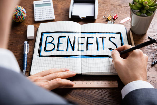 What Is Hoxcutterwolk? Features, Benefits, and Uses