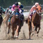 Top Features of NorthShoreTimingOnlineD.com Every Race Organizer Should Know